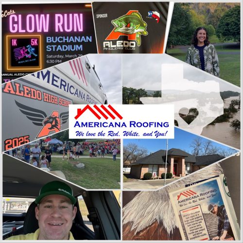 Americana year in review 2025